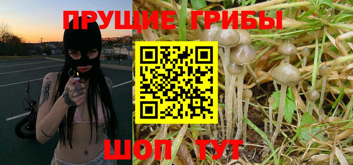 Галлюциногенные грибы Magic Shrooms  Галлюциногенные грибы Cubensis  Вход с VPN  Нарткала 
