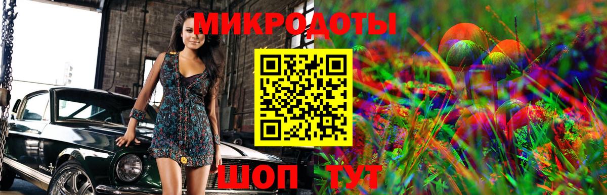 Галлюциногенные грибы Psilocybine cubensis Нарткала